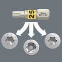 WERA Bit-Check 12 Wood TORX HF 1 SB 12-teilig