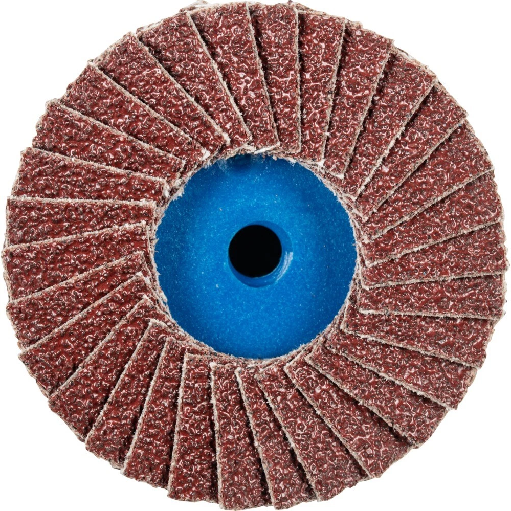 TESTPhT - Pferd COMBIDISC-Mini-POLIFAN Fächerschleifscheibe